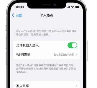 铁西apple服务站点分享iPhone上个人热点丢失了怎么办 