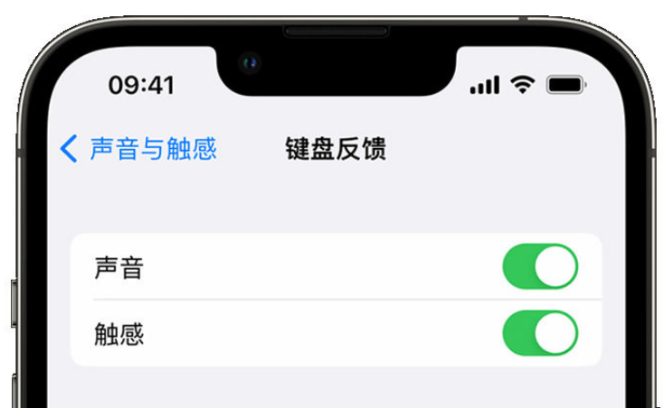 铁西苹果手机维修分享iPhone 14触感键盘使用方法 